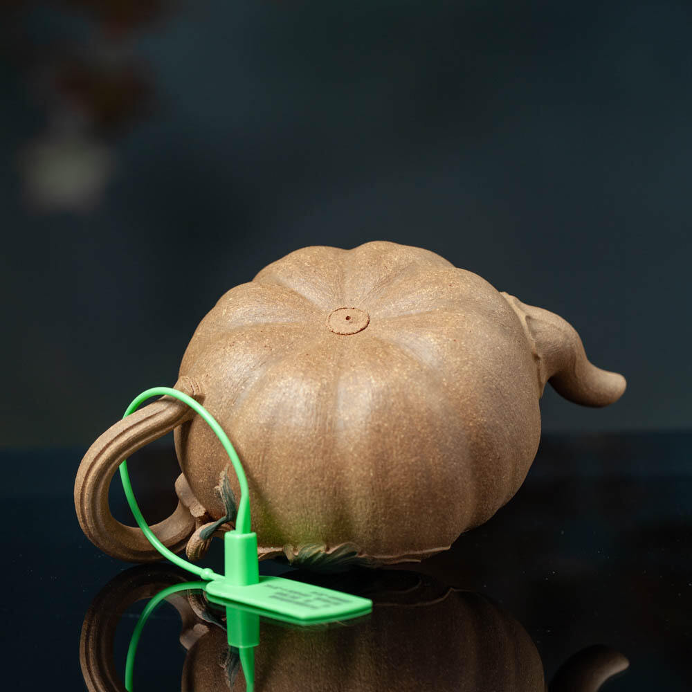 Organic Vegetable Box