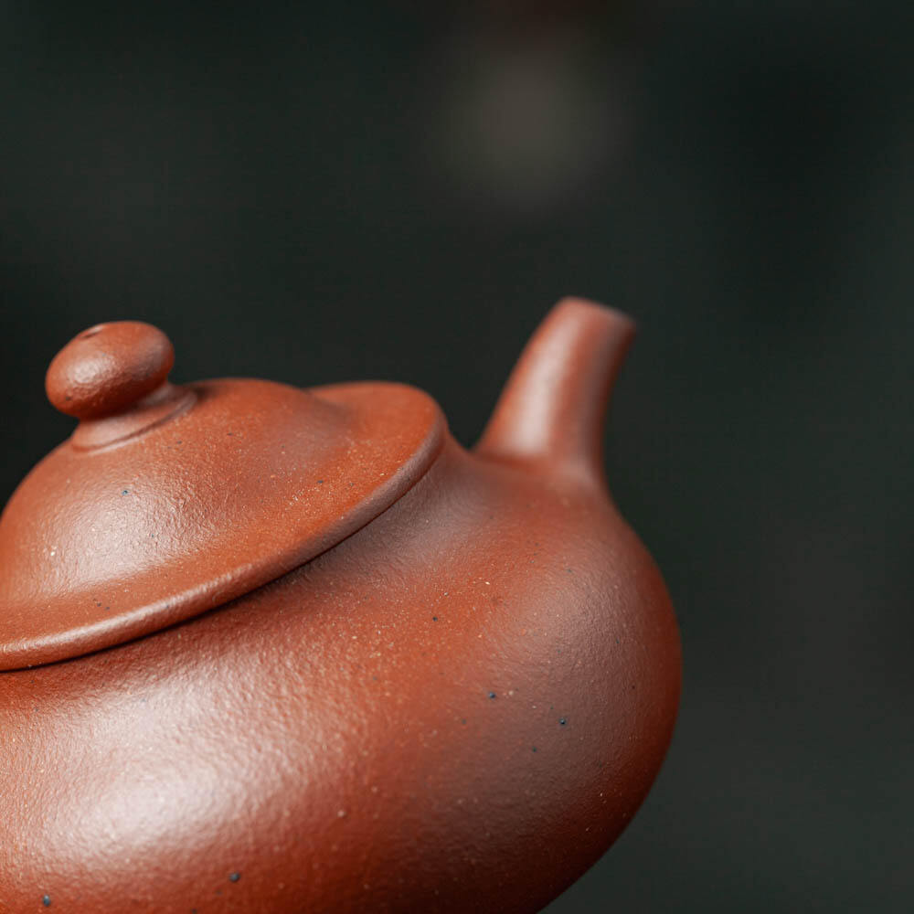 Organic Vegetable Box